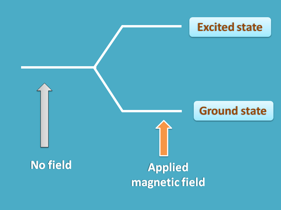 Effect of magnetic field on spin states in NMR spectroscopy