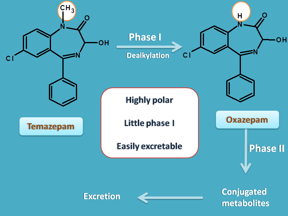 temazepam undergoes demthylation followed by conjugation