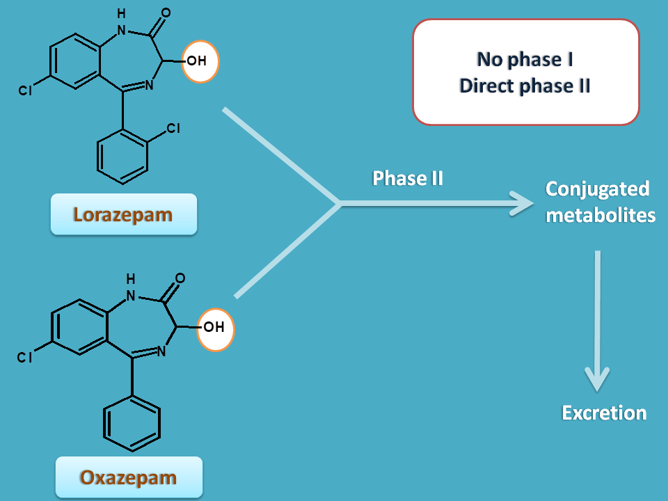 oxazepam and lorazepam are directly conjugated