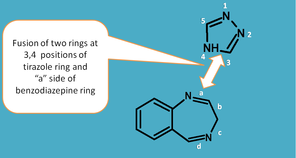 fusion of triazole with benzodiazepine