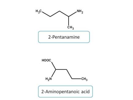 IUPAC naming of sulfonic amines