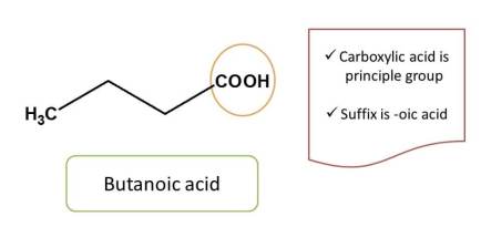 carboxylic acid in butanoic acid