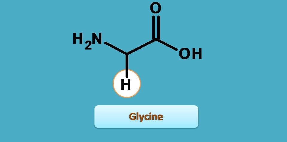 glycine