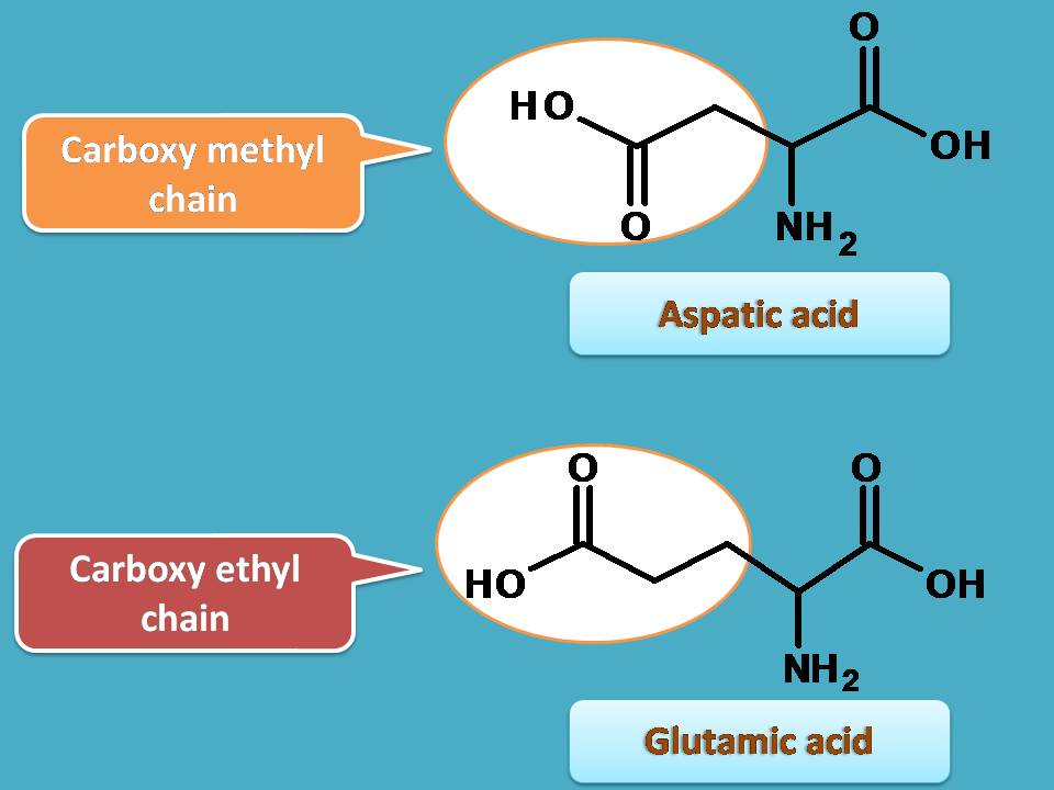 list of amino acids witrh acidic side chain