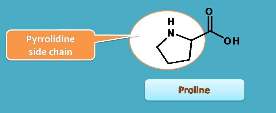 proline