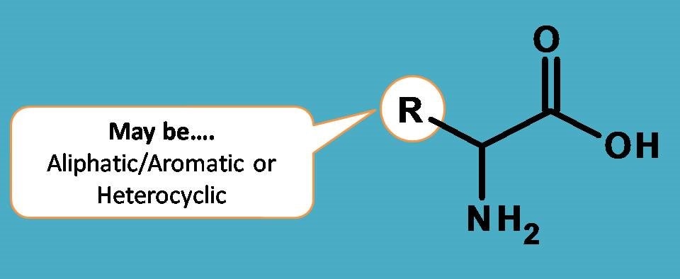aliphatic or aromatic side chain
