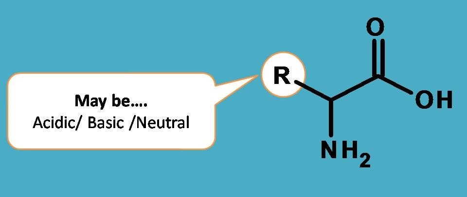 acidic or basic side chain