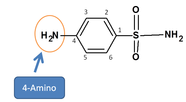Amino group at para position in sulfanilamide