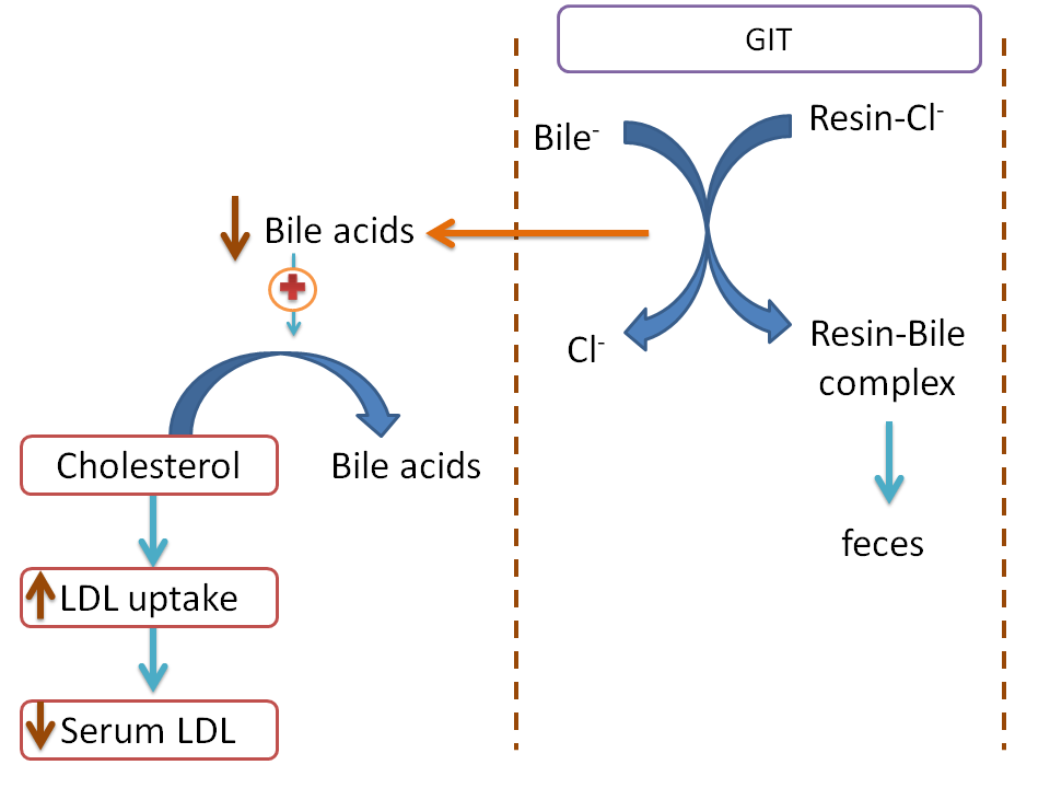 Resins can inhibit biliary reabsotpion of cholesterol