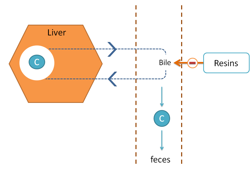 Inhibiton of biliary reabsorption by resins