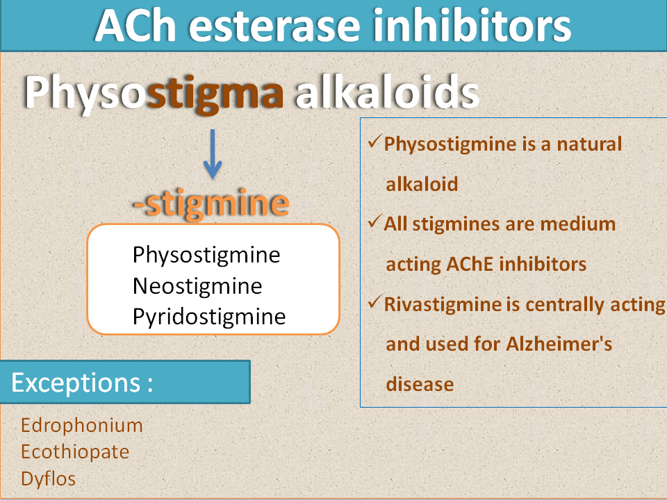 Suffixes of ACh esterase inhibitors