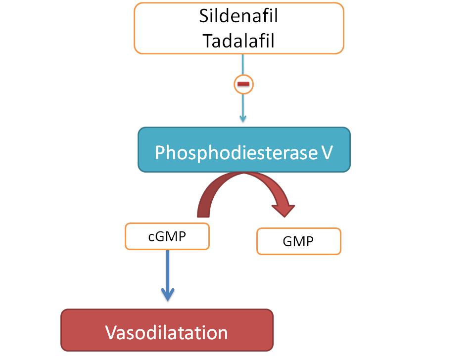 Suffixes of PDE type V inhibitors