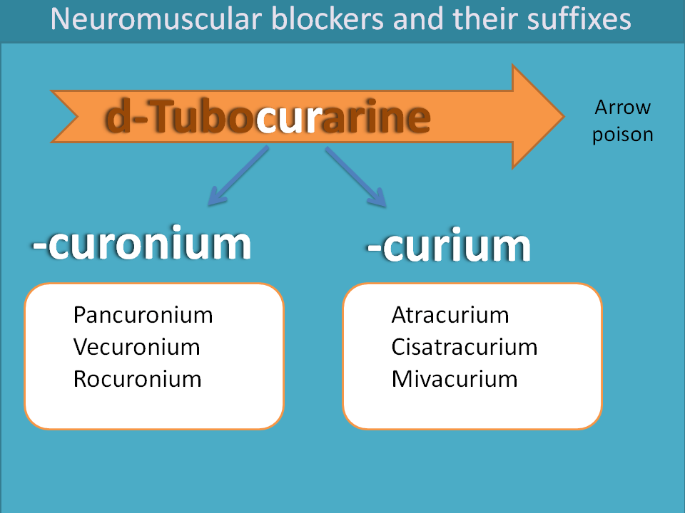 Suffixes of neuromuscular blockers