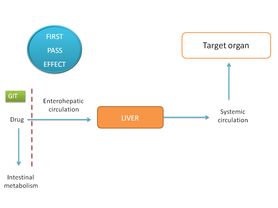 First pass effect of drugs when given by oral route