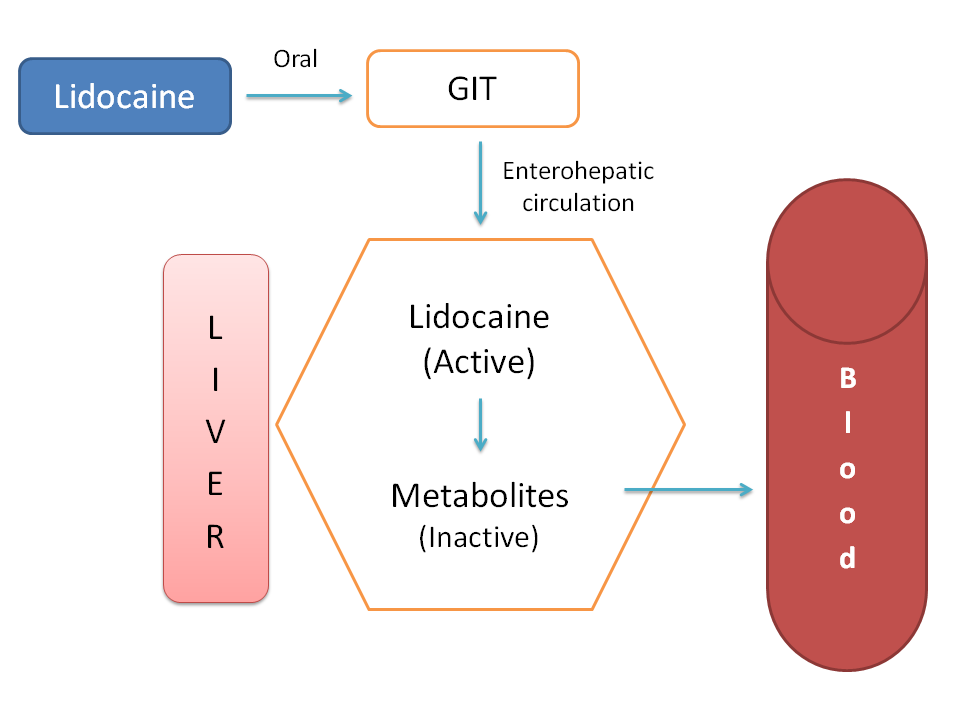 Lidocaine shows high first pass metabolism when given by oral route