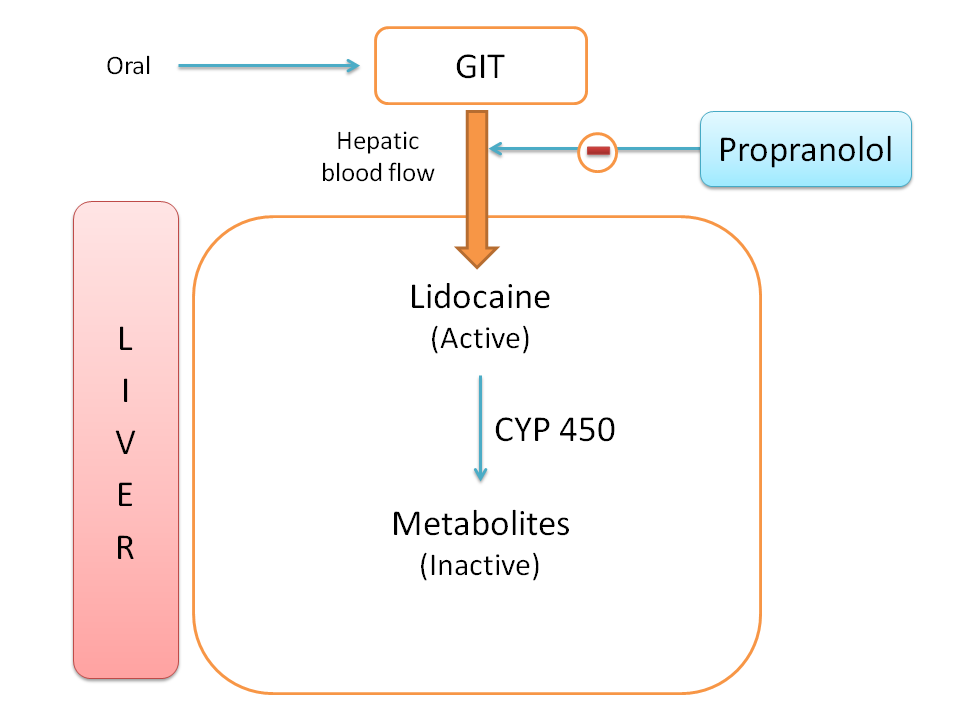 The effect of propranolol on hepatic blood flow and metabolism of lidocaine