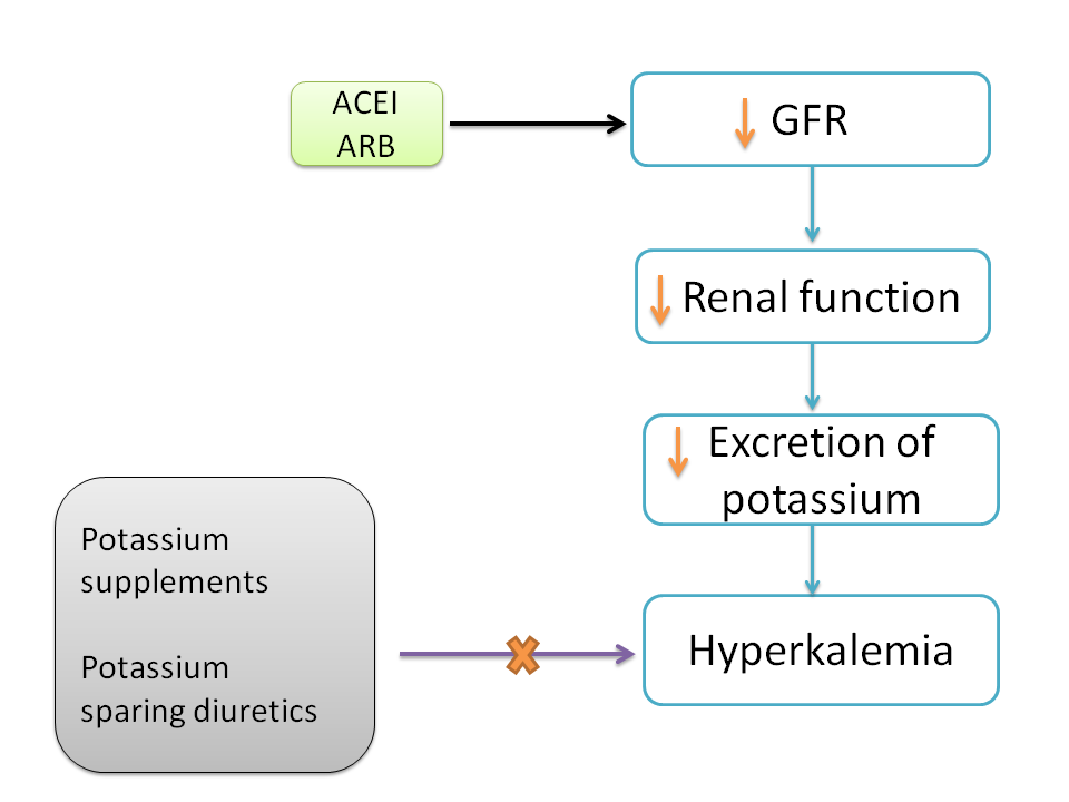 ACE inhibitors causing renal failure and hyperkalemia eliminating the use of potassium supplements