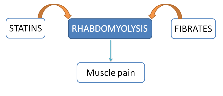 Both statins and fibrates produce rhabdomyolysis