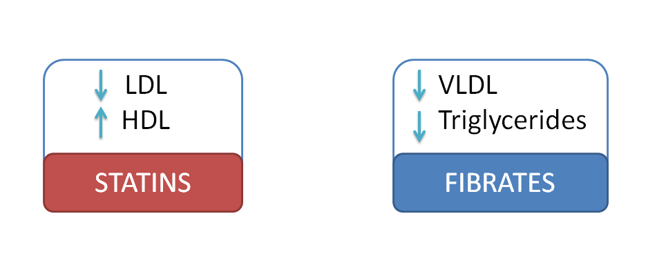 Actions of statins and fibrates