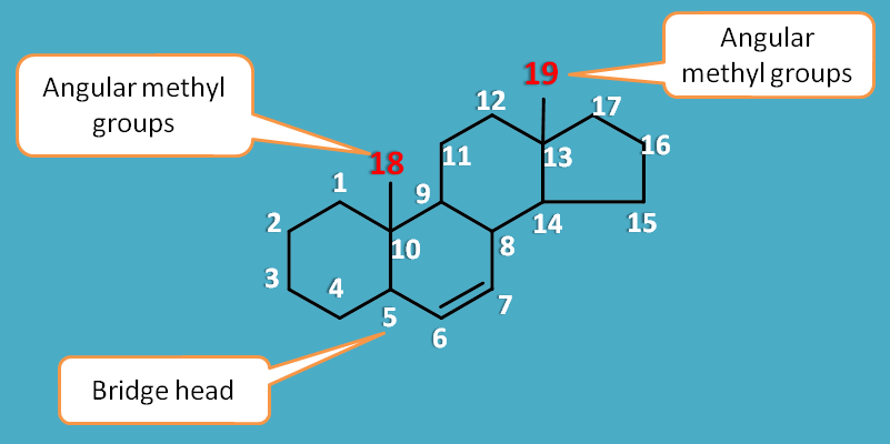 Structure of steroidal with numbering