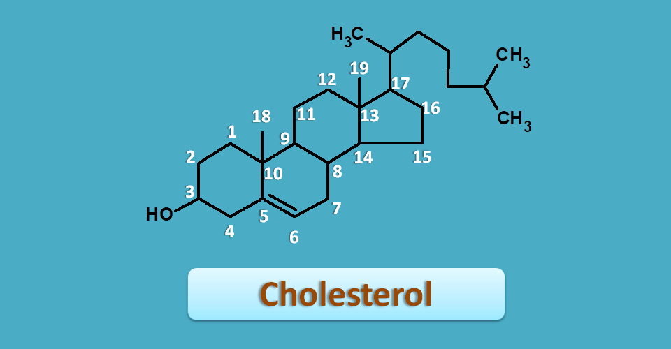 Structure of cholesterol with numbering