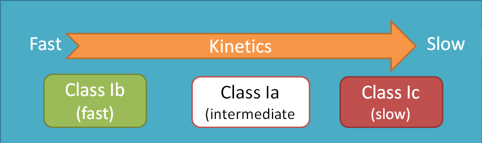 Rate of association in class I antiarrhythmics