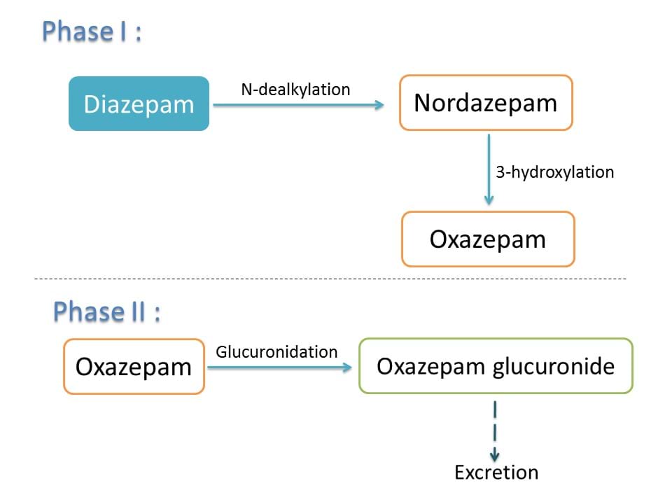 metabolism of diazepam