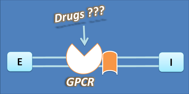 what are the drugs that bind to GPCR