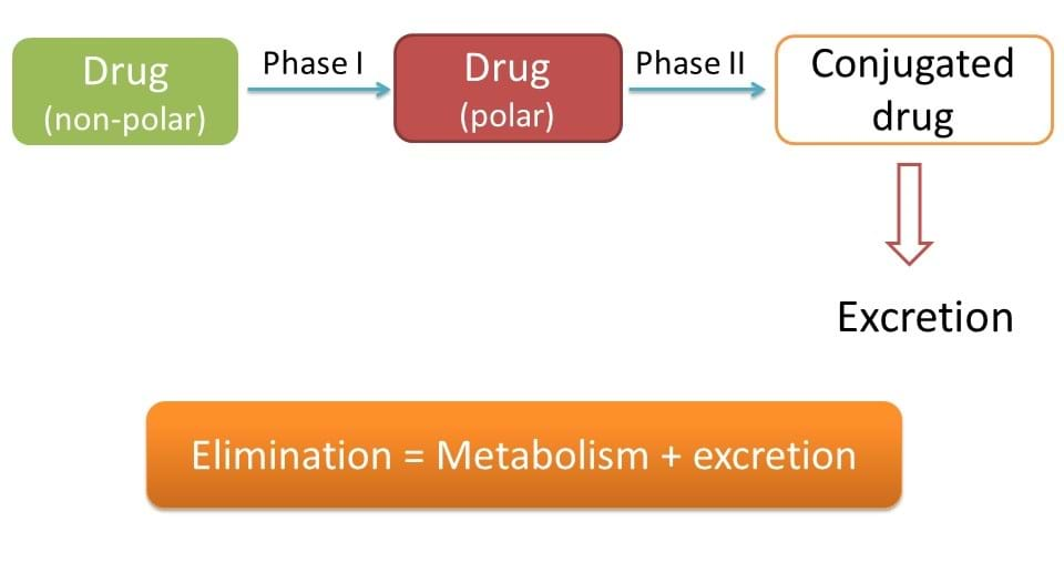 excretion is part of elimination