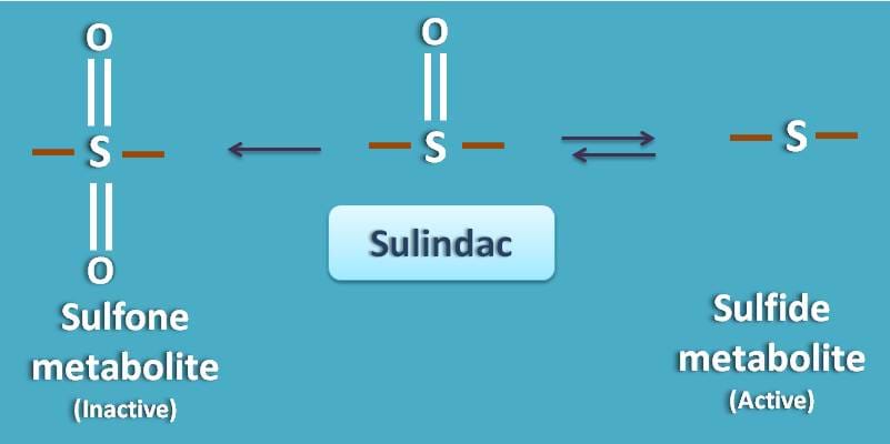 sulfone and sulfide metabolites of sulindac