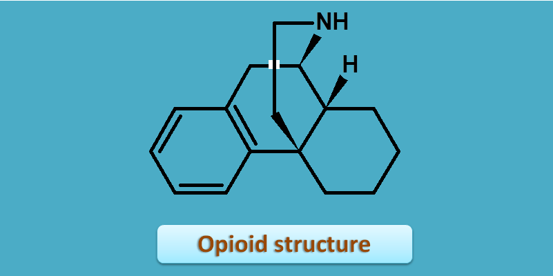 general structure of opioids