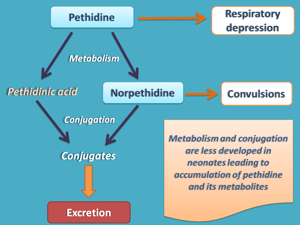 Effect of pethidine in neonates