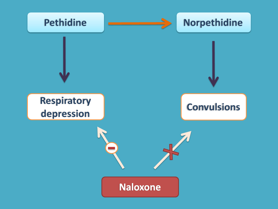 Naloxone reverse pethidine effects but not of norpethidine