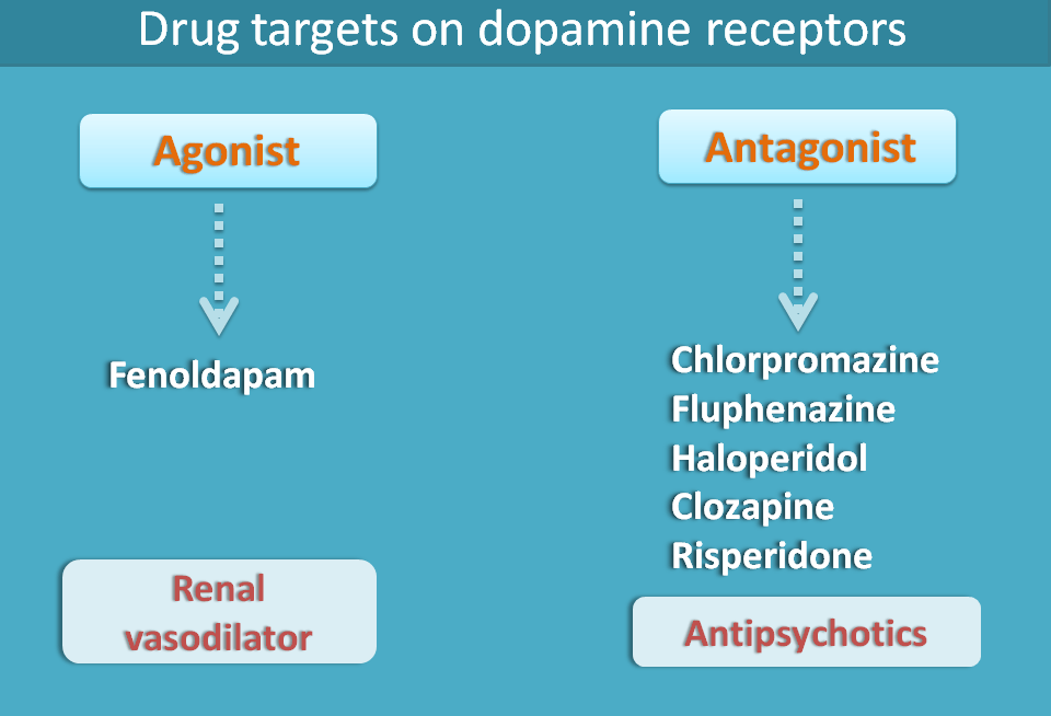 drug targets on dopamine receptors