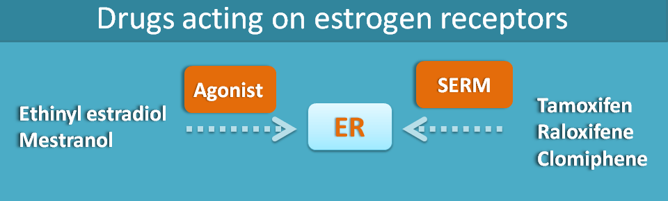 drugs acting on estrogen receptors