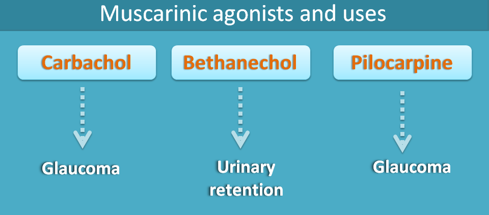 muscarinic agonists and uses