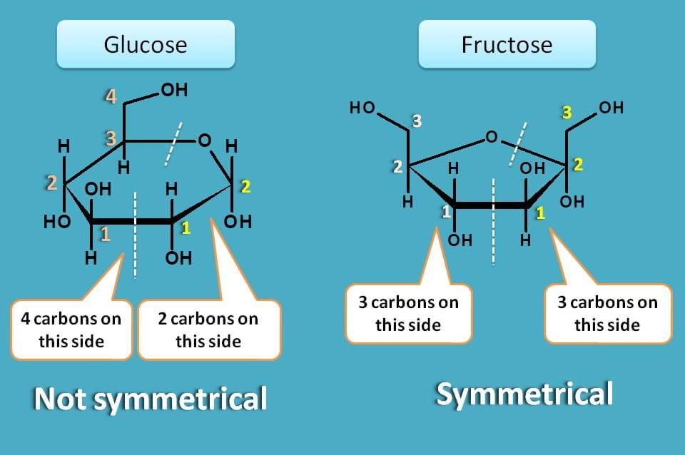 comparison of glucose and fructose rings