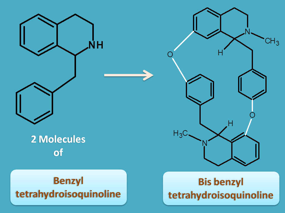 conversion of benzyl tetrahydroisoquinoline to bis benzyl tetrahydroisoquinoline
