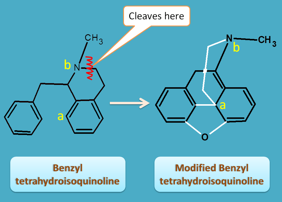 modified benzyl tetrahydroisoquinoline from tyrosine