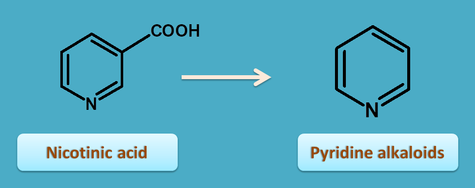 conversion of nicotinic acid to pyridine