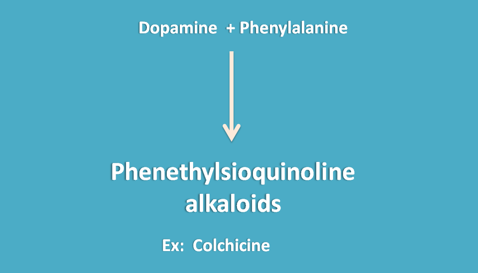 phenethylisoquinoine