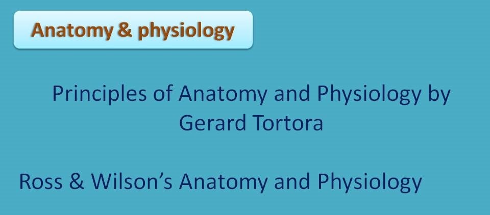 Anatomy and physiology