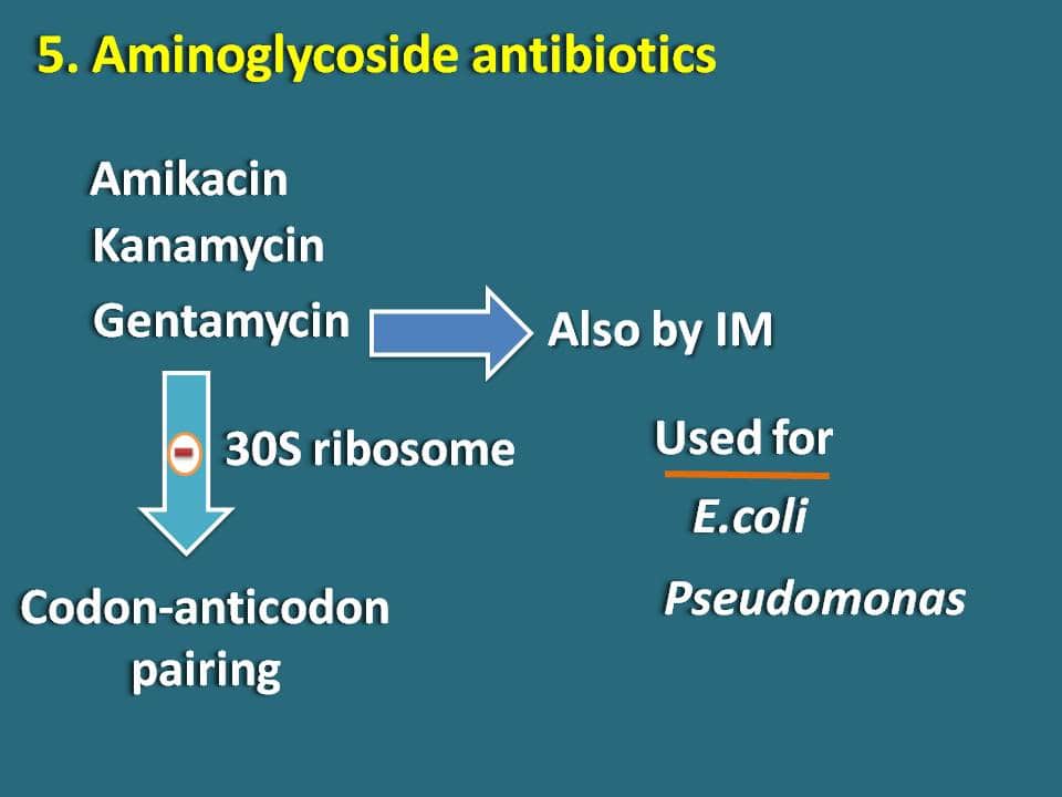 Aminoglycosides