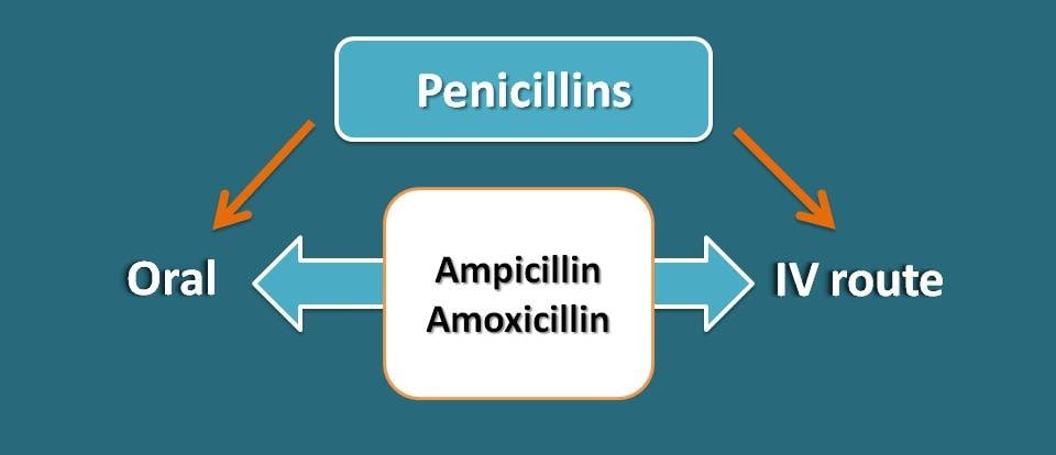 penicillins given by both oral and IV route