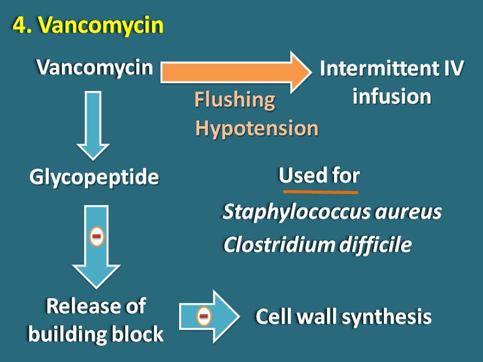 vancomycin