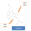 Does amiodarone produces thyroid abnormalities?