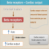 Beta blockers: A central role in cardiac disorders