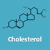 Is cholesterol a protein?