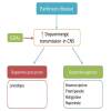 Is Levodopa not preferred for Parkinson disease in younger patients?