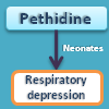How pethidine produces respiratory depression in neonates